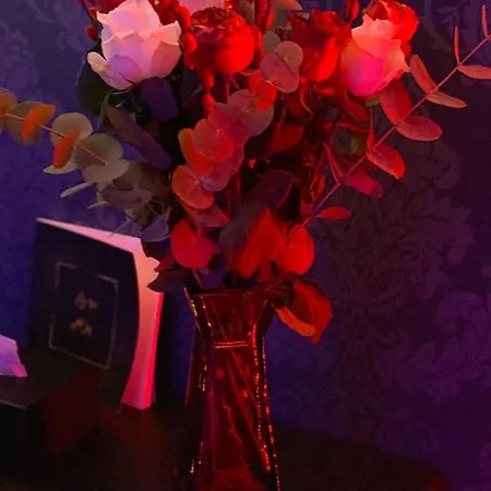 Avec Jacuzzi Prive Διαμέρισμα