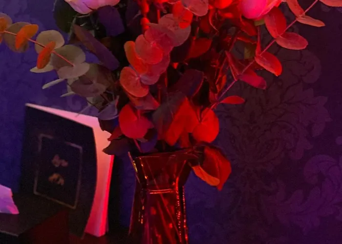 Avec Jacuzzi Prive Apartment